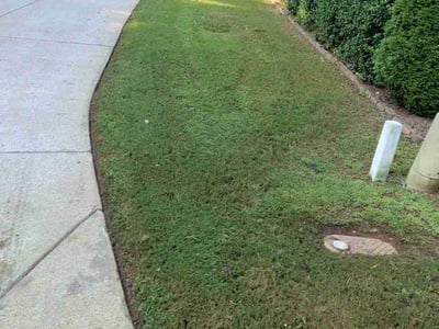 Lawn Care service in Ball Ground, 30107