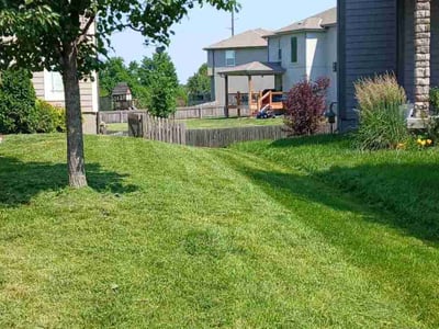 Lawn Care service in Marion, 62959