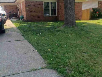 Lawn Care service in Overland, 63114