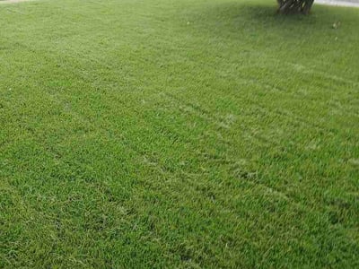 Lawn Care service in Overland, 63114