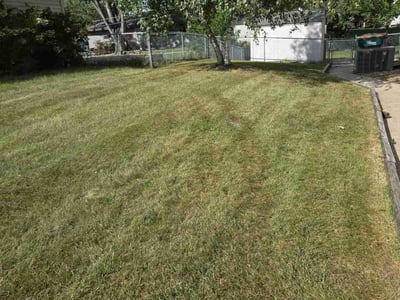 Lawn Care service in Shakopee, 55379