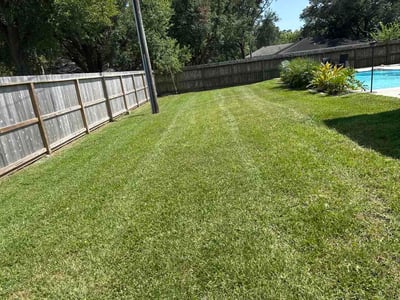 Lawn Care service in Atascocita, 77346