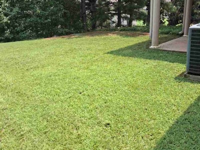 Lawn Care service in Bessemer, 35020
