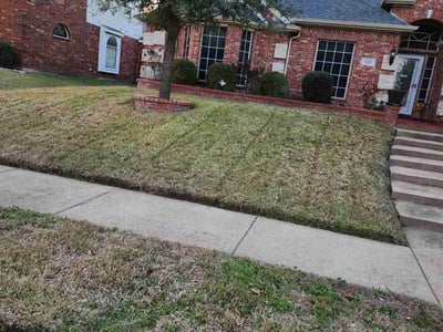 Lawn Care service in Port Orchard, 98366