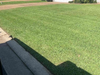 Lawn Care service in Pearl, 39208