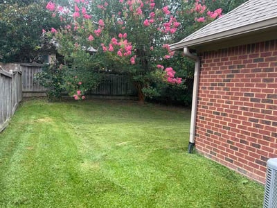 Lawn Care service in Pearl, 39208