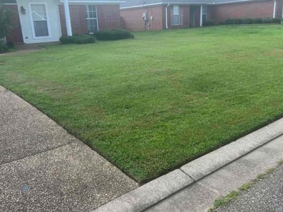 Lawn Care service in Pearl, 39208