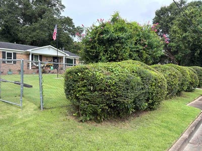 Lawn Care service in Orange Beach, 36561