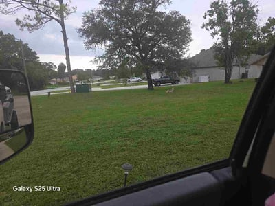 Lawn Care service in Homosassa, 34448