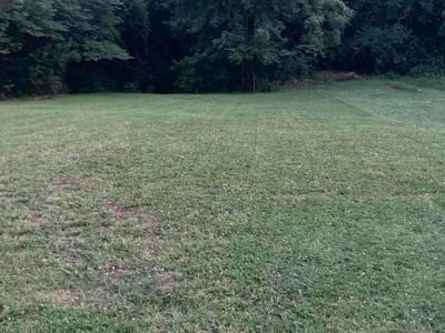 Lawn Care service in Alton, 62002
