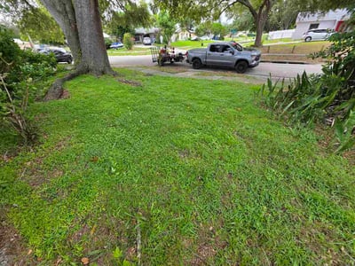 Lawn Care service in Seffner, 33584