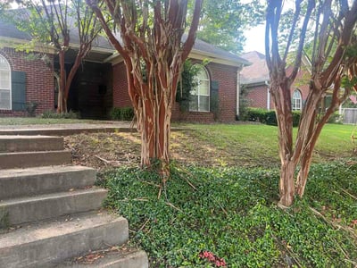 Lawn Care service in Byram, 39272
