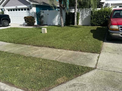 Lawn Care service in New Port Richey, 34652