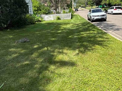 Lawn Care service in Zimmerman, 55398