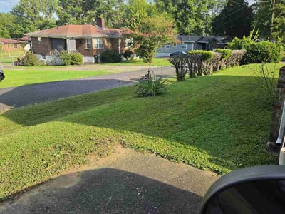 Lawn Care service in Birmingham, 35203