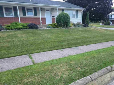 Lawn Care service in Erie, 16507
