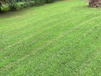 Lawn Care service in Acworth, 30101