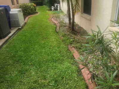 Lawn Care service in Dunedin, 34698