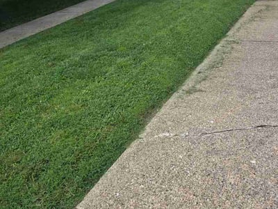 Lawn Care service in Saint Albans, 25177