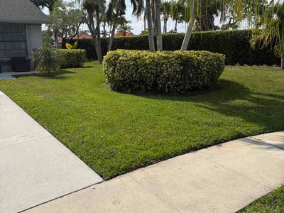 Lawn Care service in Jupiter, 33458