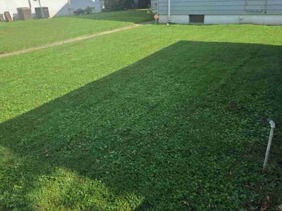 Lawn Care service in Saint Albans, 25177