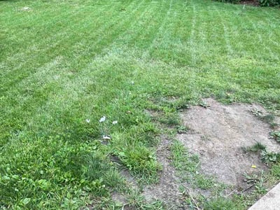 Lawn Care service in Dormont, 15216
