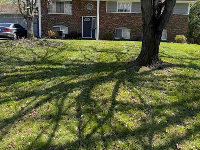 Lawn Care service in Dormont, 15216