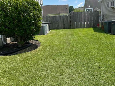 Lawn Care service in Rocky Mount, 27801