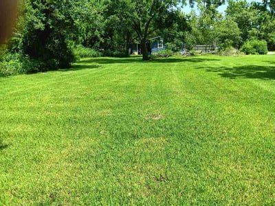 Lawn Care service in Angleton, 77515