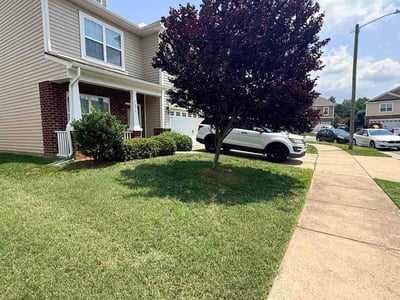 Lawn Care service in Mebane, 27302