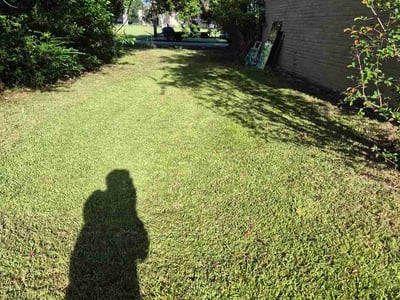 Lawn Care service in Angleton, 77515