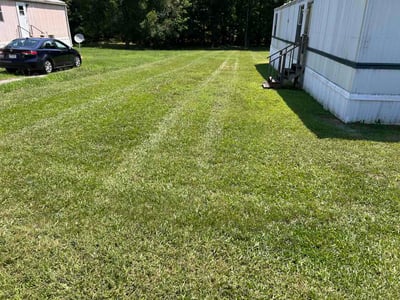 Lawn Care service in Mebane, 27302