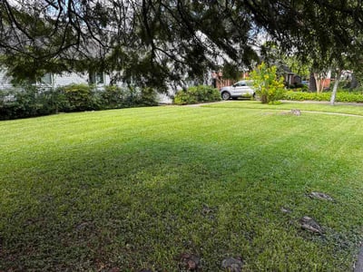 Lawn Care service in Oroville, 95965