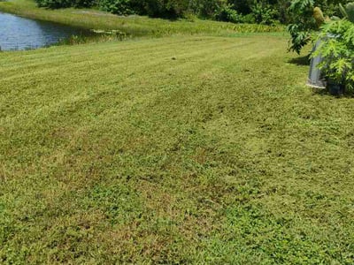 Lawn Care service in Brooksville, 34601
