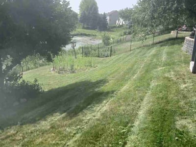 Lawn Care service in Saint Michael, 55376