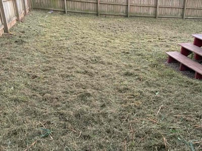 Lawn Care service in Oroville, 95965