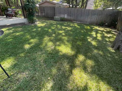 Lawn Care service in Arlington, 76010