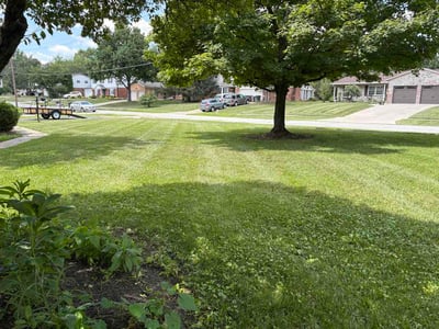 Lawn Care service in Wheeling, 26003