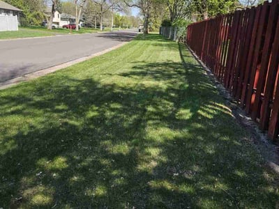 Lawn Care service in Saint Michael, 55376