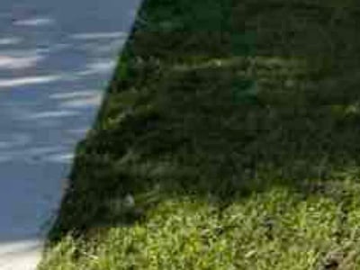 Lawn Care service in Arlington, 76010