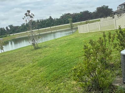 Lawn Care service in Zephyrhills, 33542