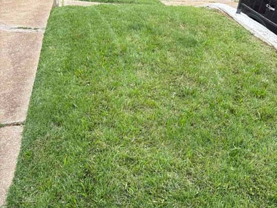 Lawn Care service in Jennings, 63136