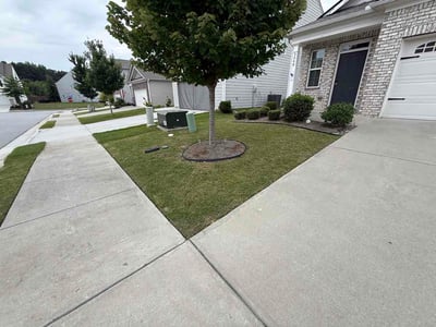 Lawn Care service in Gainesville, 30501
