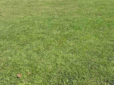 Lawn Care service in Quincy, 32351
