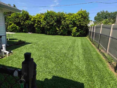 Lawn Care service in Edgewater, 32132
