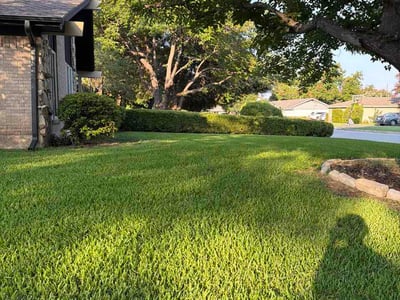 Lawn Care service in Bedford, 76021