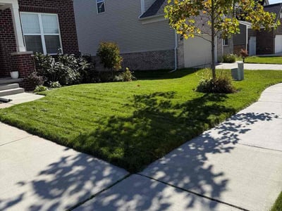 Lawn Care service in Ann Arbor, 48104