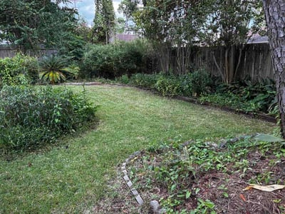 Lawn Care service in San Benito, 78586