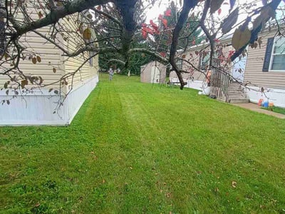Lawn Care service in Ann Arbor, 48104