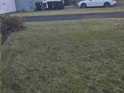 Lawn Care service in North Branch, 55056